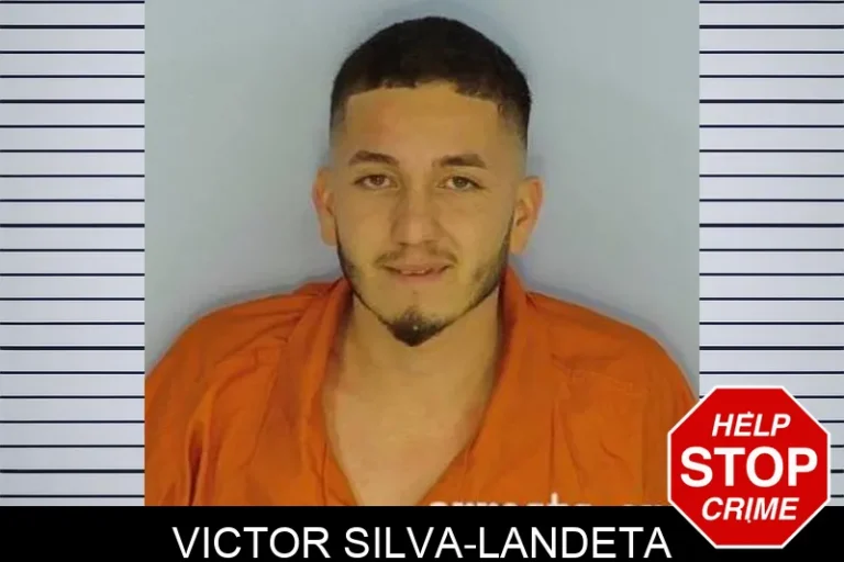 Victor Silva-Landeta