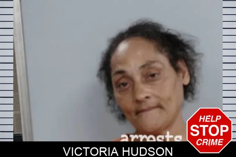 Victoria Hudson