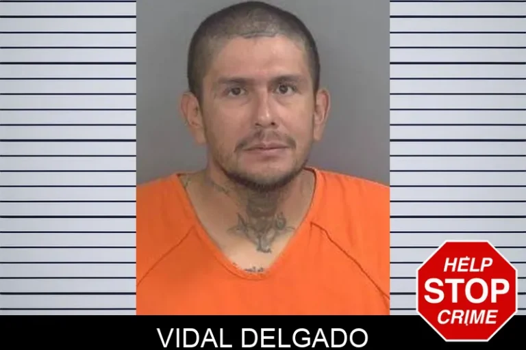 Vidal Delgado