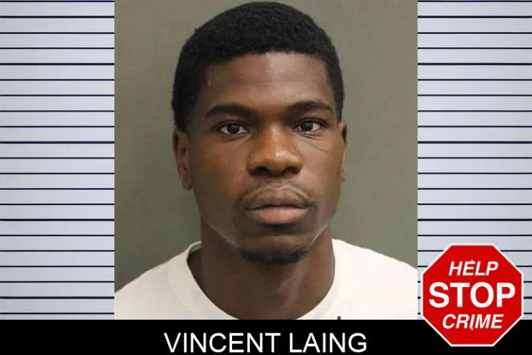 Vincent Laing