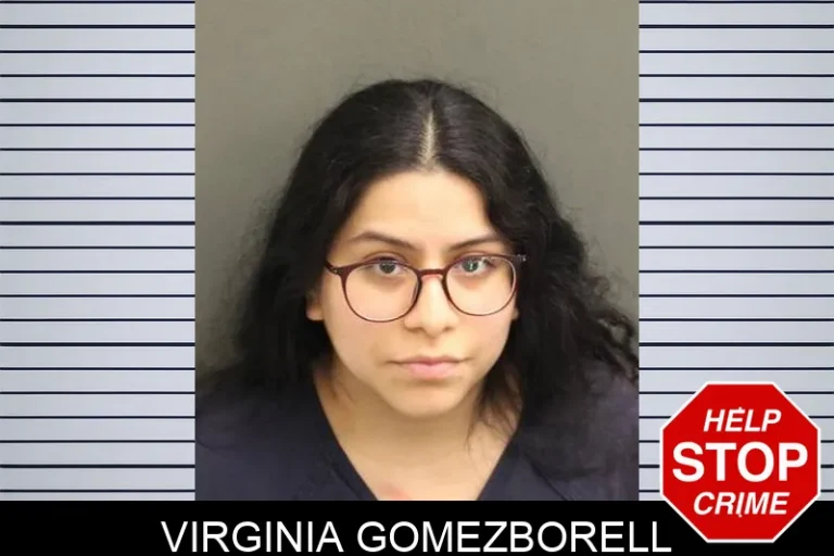 Virginia Gomezborell