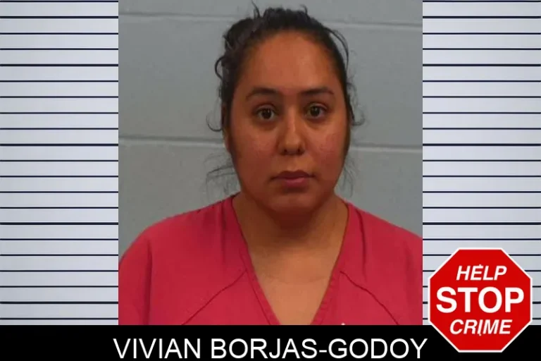 Vivian Borjas-Godoy