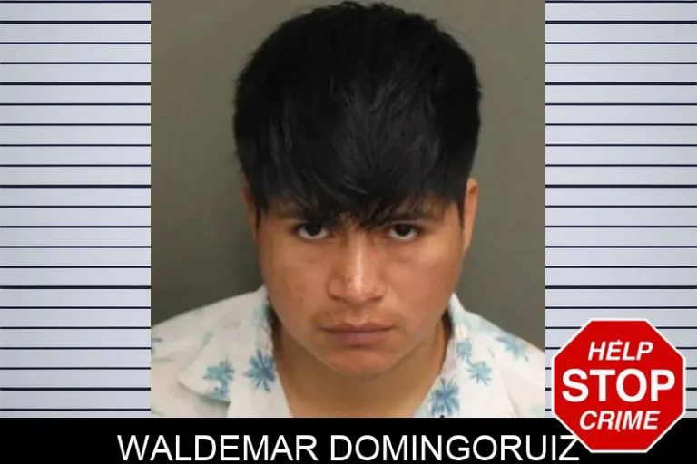 Waldemar Domingoruiz