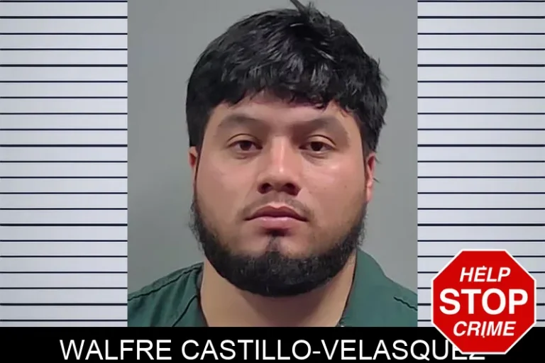 Walfre Castillo-Velasquez