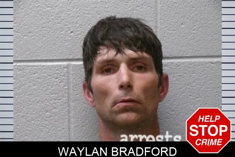 Waylan Bradford