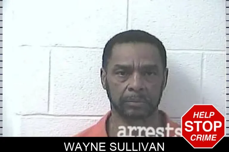 Wayne Sullivan