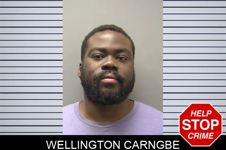 Wellington Carngbe