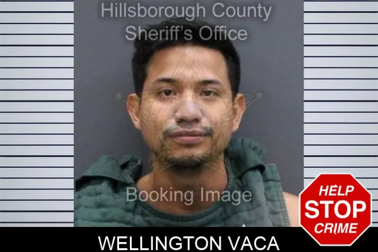 Wellington Vaca