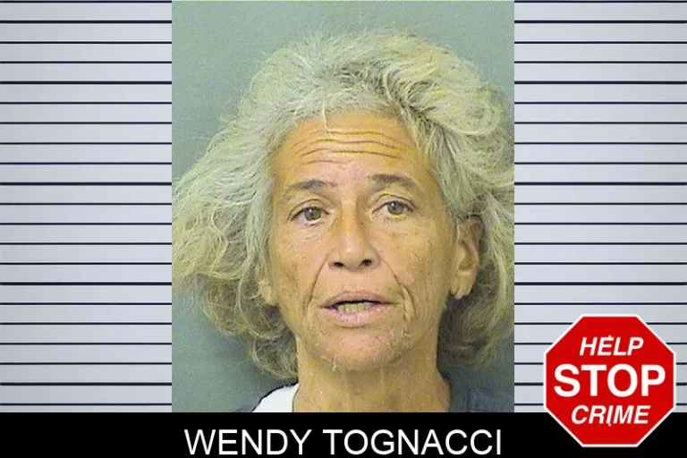 Wendy Tognacci