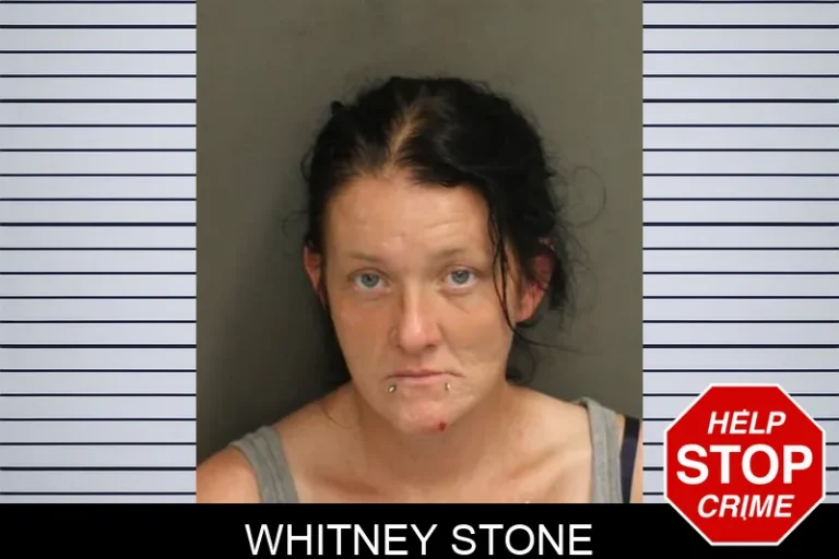 Whitney Stone