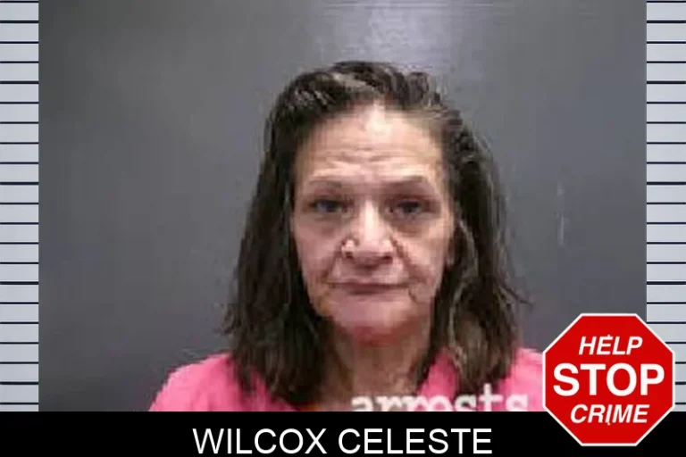 Wilcox Celeste
