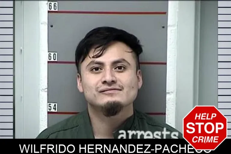 Wilfrido Hernandez-Pacheco