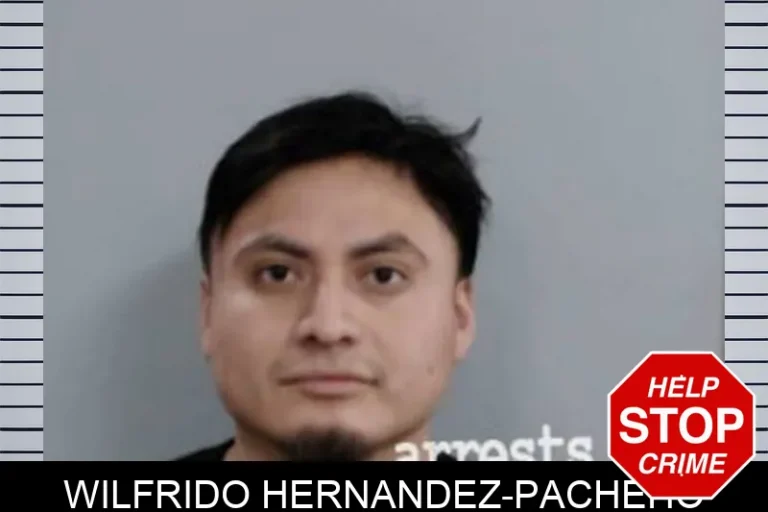 Wilfrido Hernandez-Pacheho