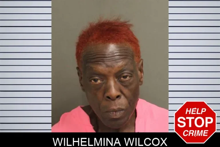 Wilhelmina Wilcox