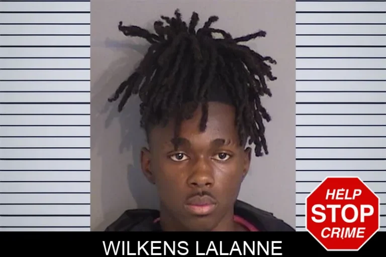 Wilkens Lalanne