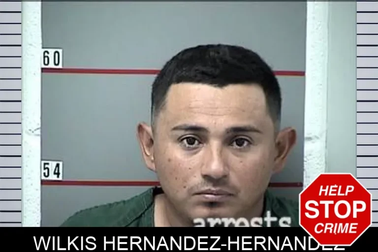 Wilkis Hernandez-Hernandez