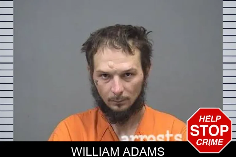 William Adams