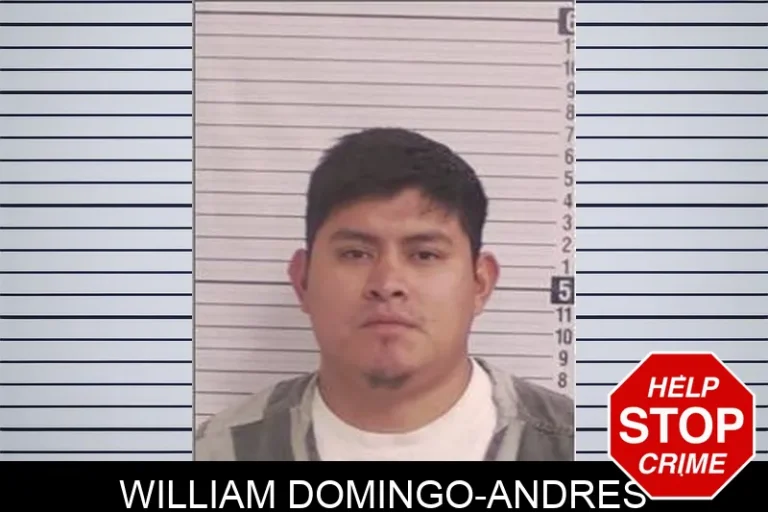 William Domingo-Andres