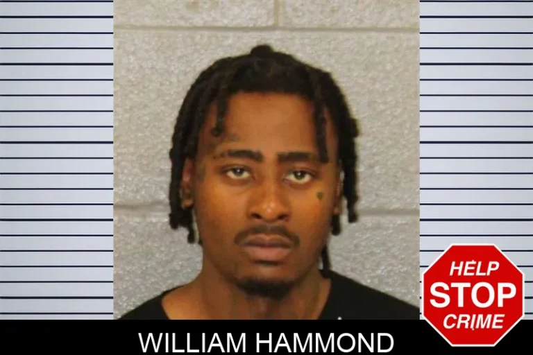 William Hammond