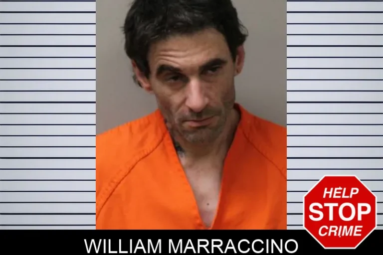 William Marraccino