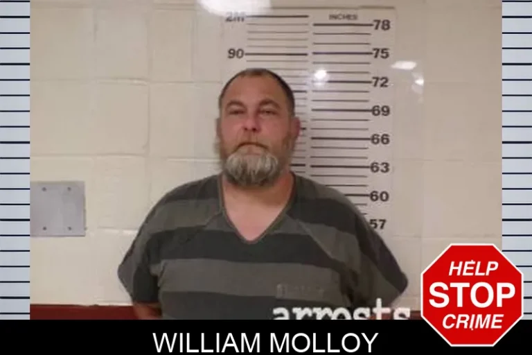 William Molloy