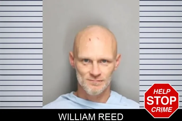 William Reed