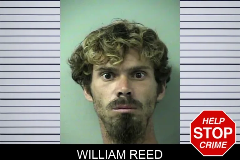 William Reed