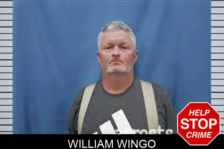 William Wingo