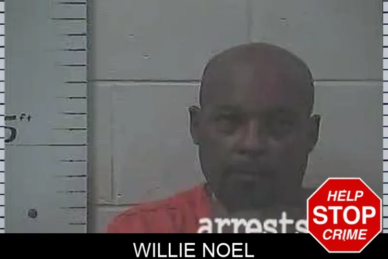 Willie Noel