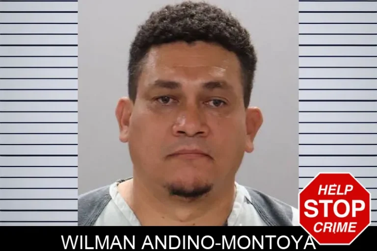 Wilman Andino-Montoya