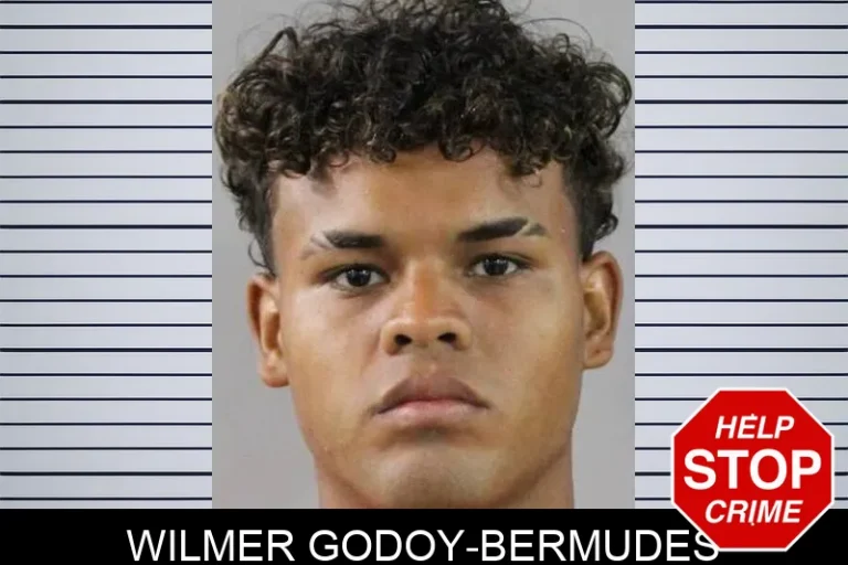 Wilmer Godoy-Bermudes