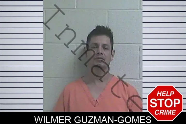 Wilmer Guzman-Gomes