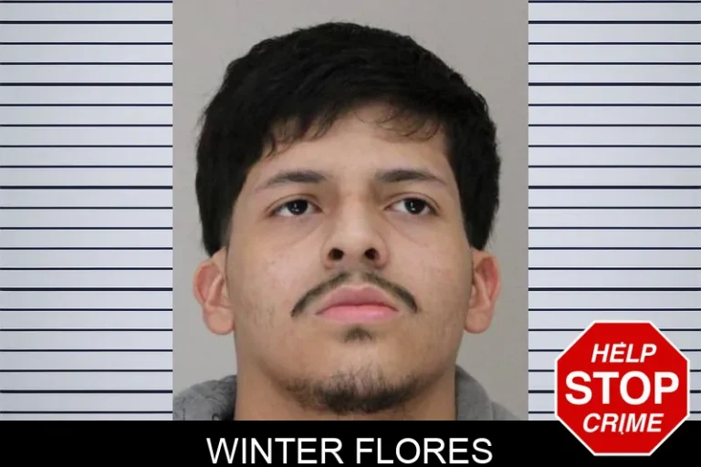 Winter Flores