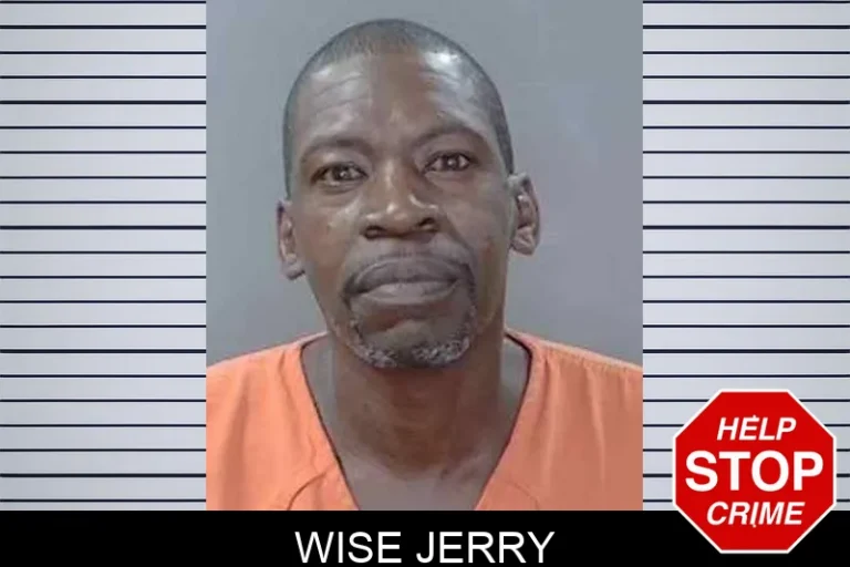 Wise Jerry