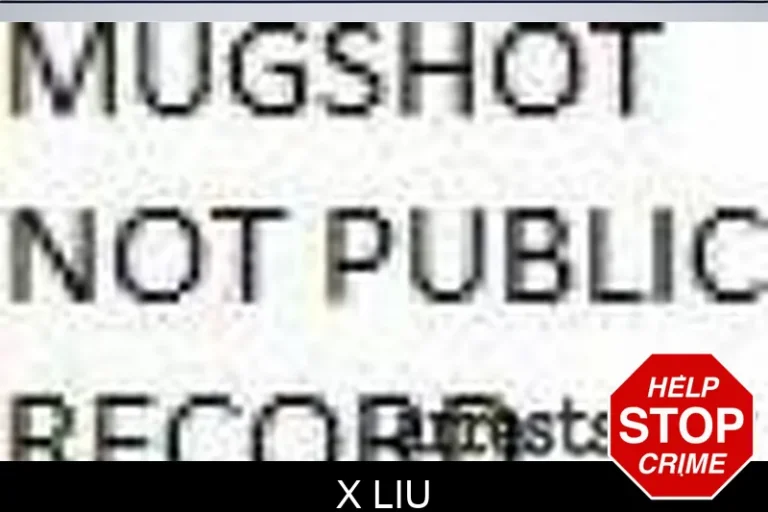 X Liu