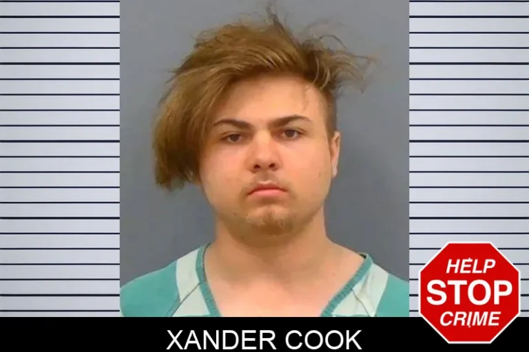 Xander Cook