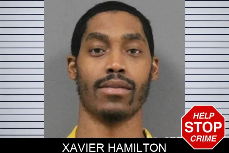 Xavier Hamilton