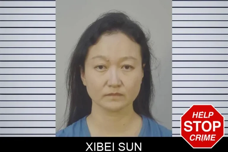 Xibei Sun