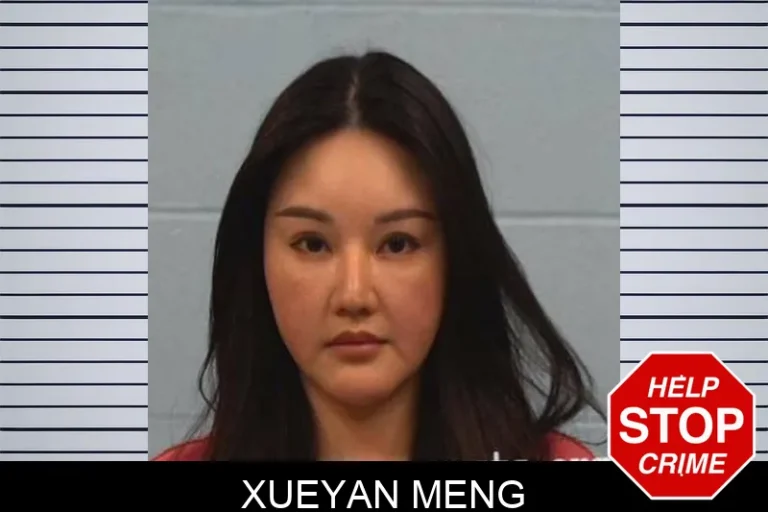 Xueyan Meng