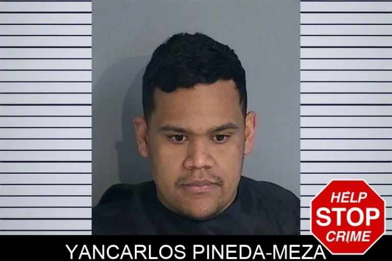 Yancarlos Pineda-Meza