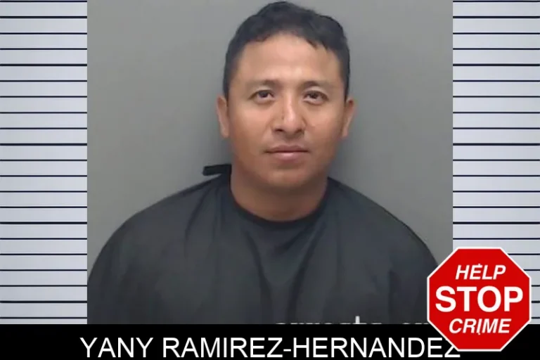 Yany Ramirez-Hernandez