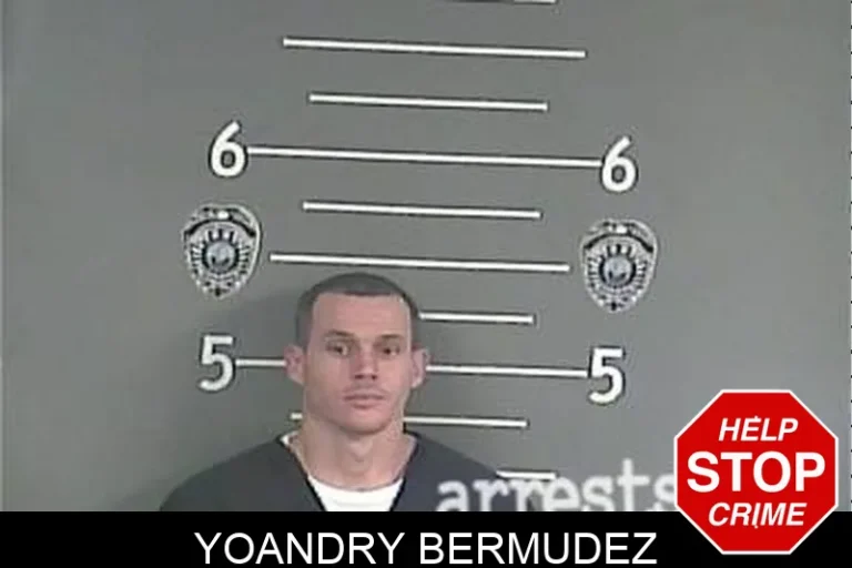 Yoandry Bermudez