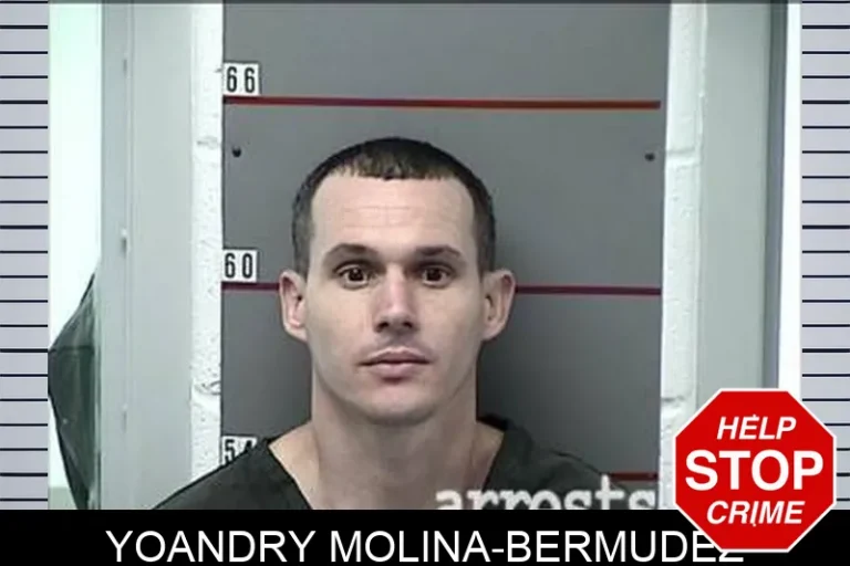 Yoandry Molina-Bermudez