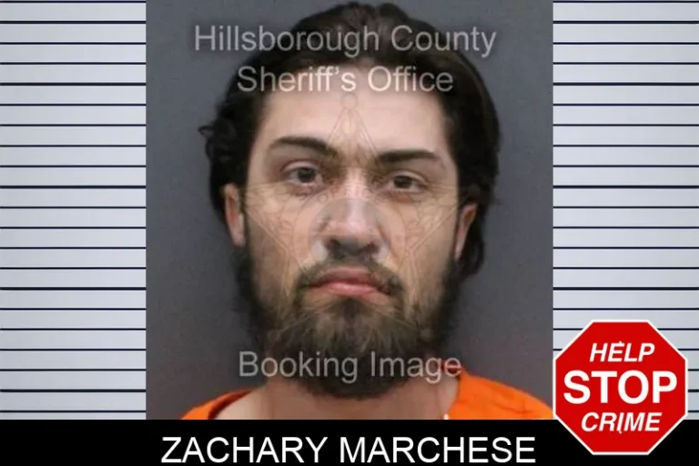 Zachary Marchese