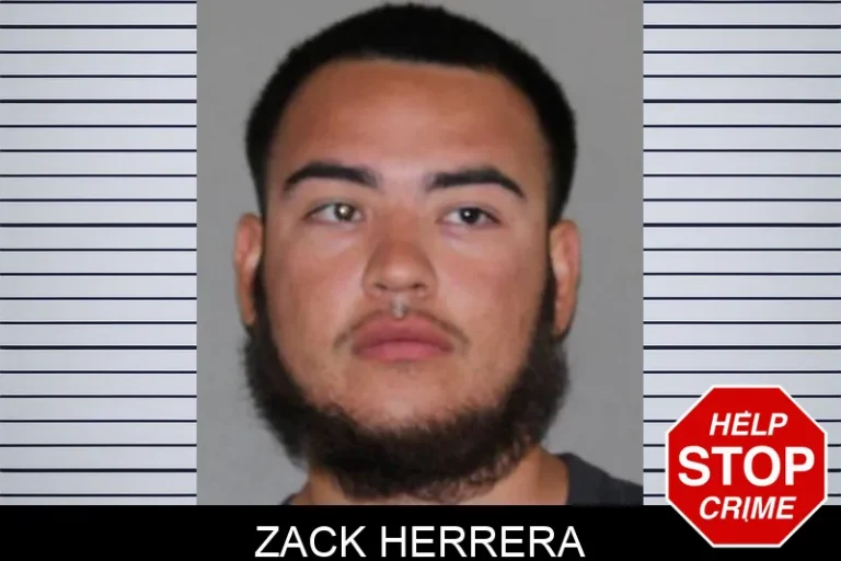 Zack Herrera