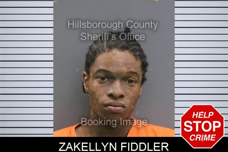 Zakellyn Fiddler