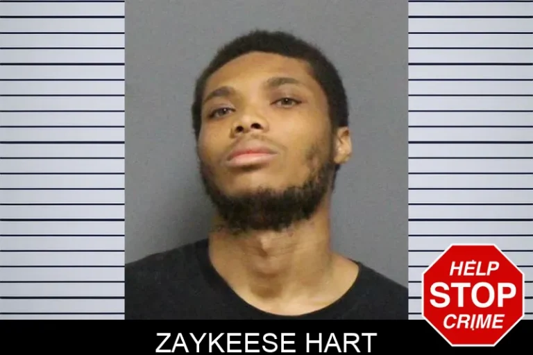 Zaykeese Hart