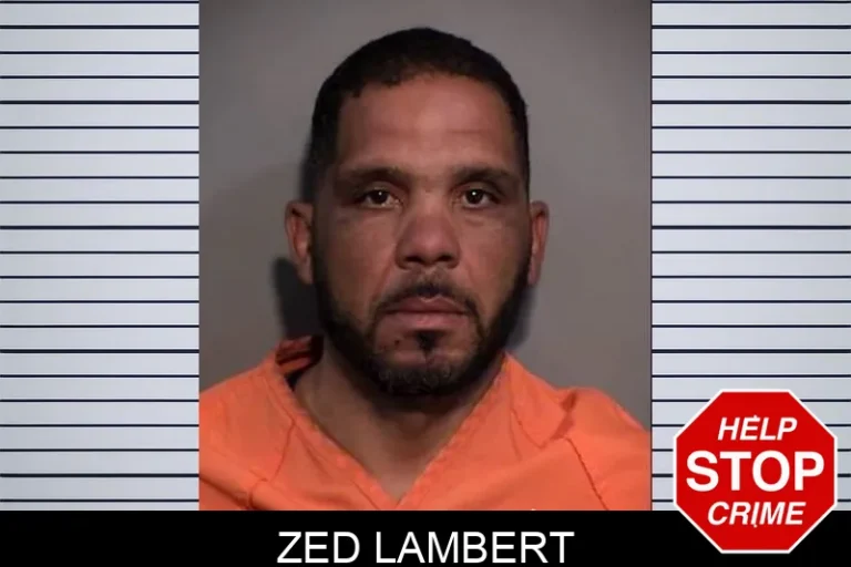 Zed Lambert