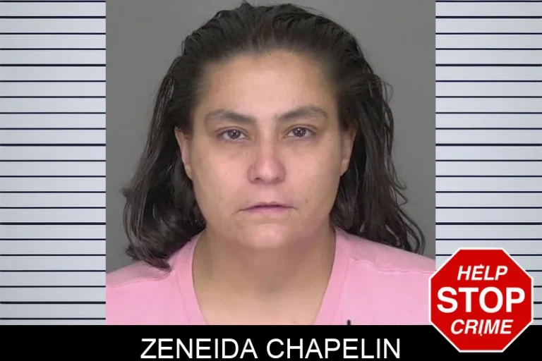 Zeneida Chapelin