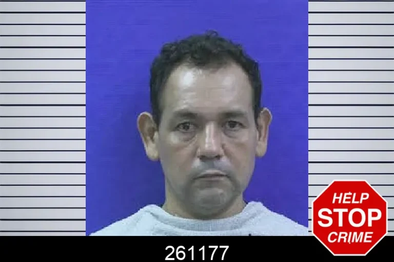 261177